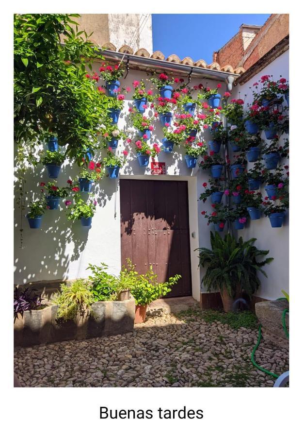 Casa Rural "Laplaza23" Herrera del Duque المظهر الخارجي الصورة