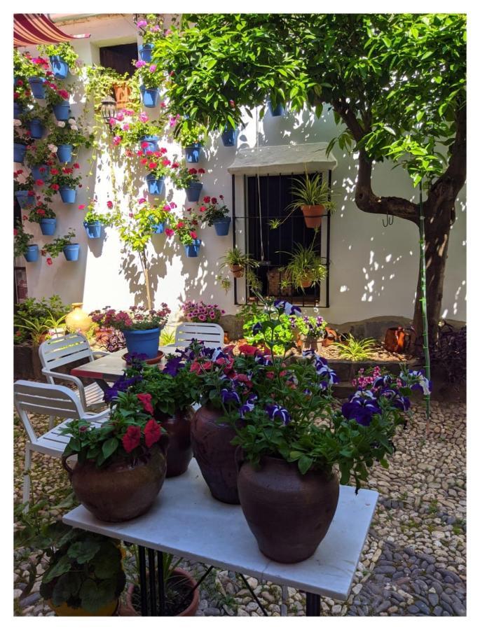 Casa Rural "Laplaza23" Herrera del Duque المظهر الخارجي الصورة