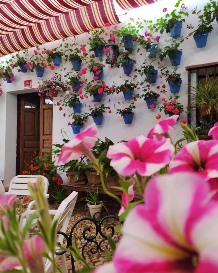 Casa Rural "Laplaza23" Herrera del Duque المظهر الخارجي الصورة