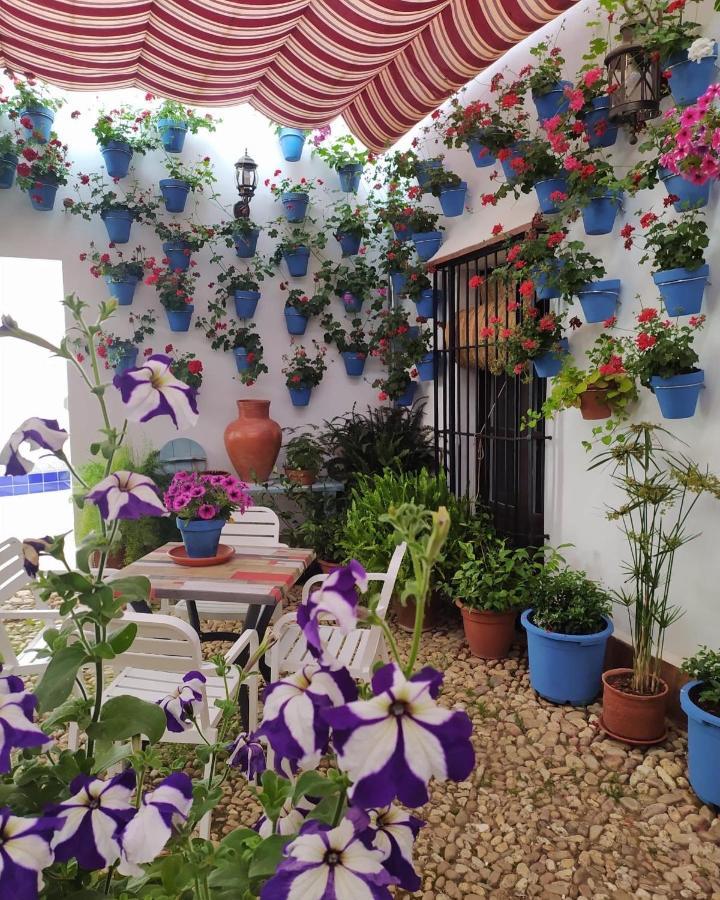 Casa Rural "Laplaza23" Herrera del Duque المظهر الخارجي الصورة
